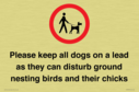please-keep-all-dogs-on-a-lead-as-they-can-disturb-ground-nesting-birds-and-thei~